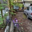 SAMISH 6 : MEMBERSHIP AND TRAILER FOR SALE