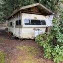 Campbell 4: Membership and Trailer