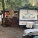 Pine 5 : Membership & Trailer For Sale
