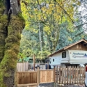 Mohawk 14 : Membership & Trailer For Sale